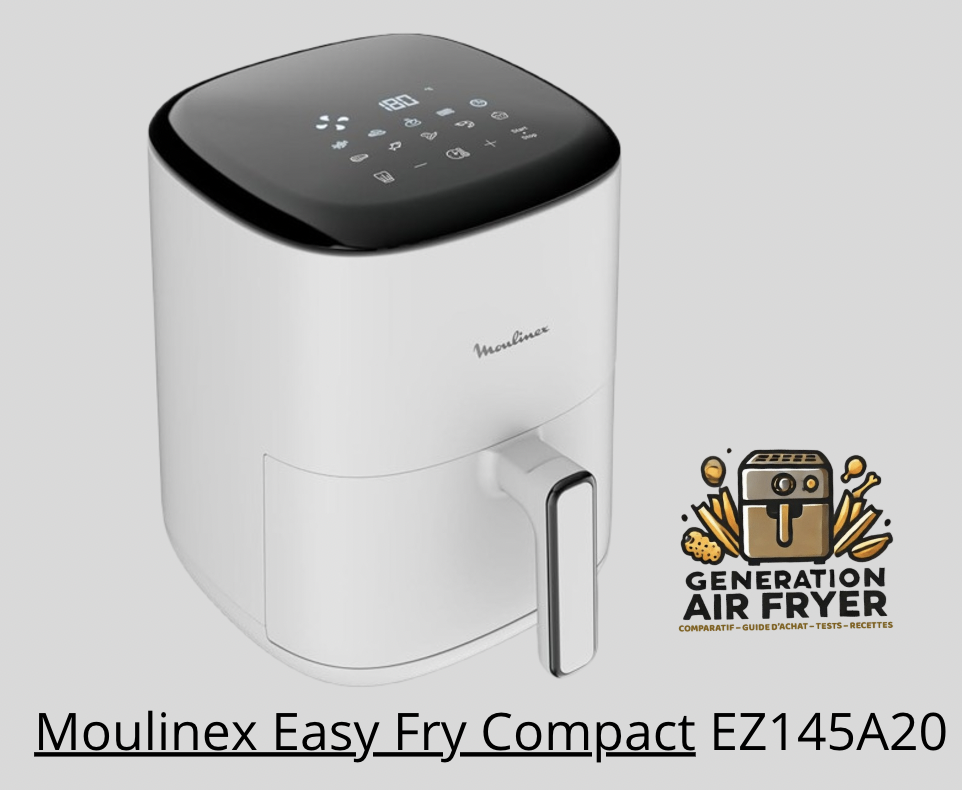 Moulinex Easy Fry Compact EZ145A20